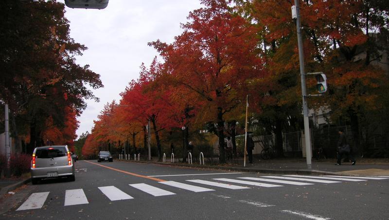 PICT0062.JPG